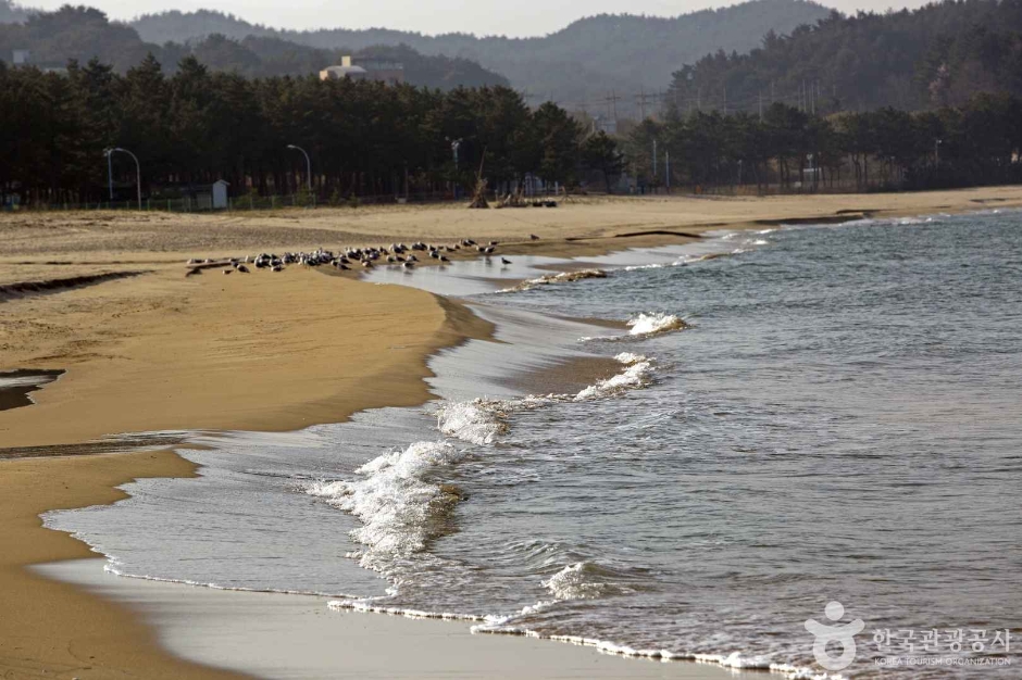 동산해수욕장