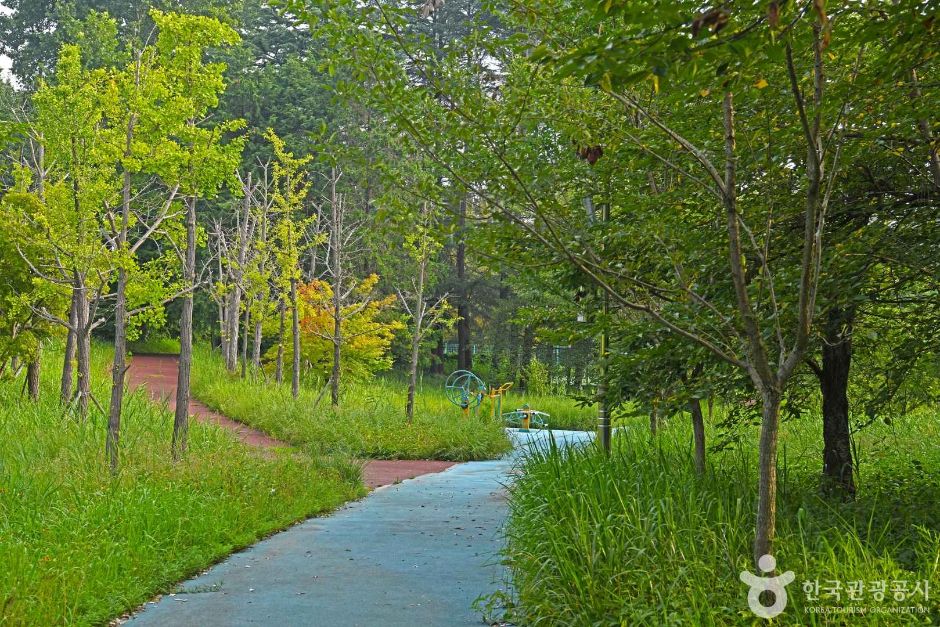 전북_전주_나들목 가족공원 (3)