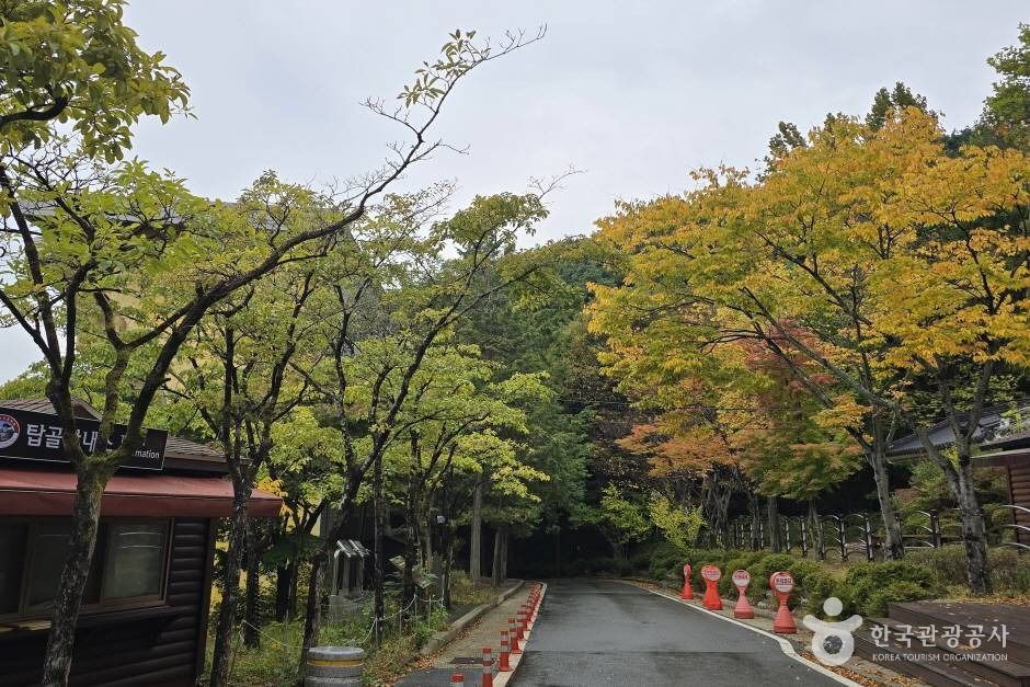 대구올레 팔공산 7코스 폭포골 가는 길_e (6)