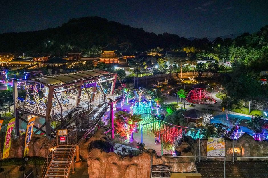 빛 축제 영원