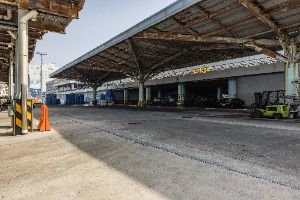 부산_부산 국제수산물도매시장 (3)