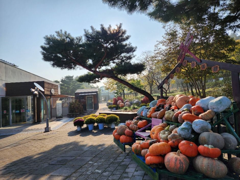 바다향기수목원