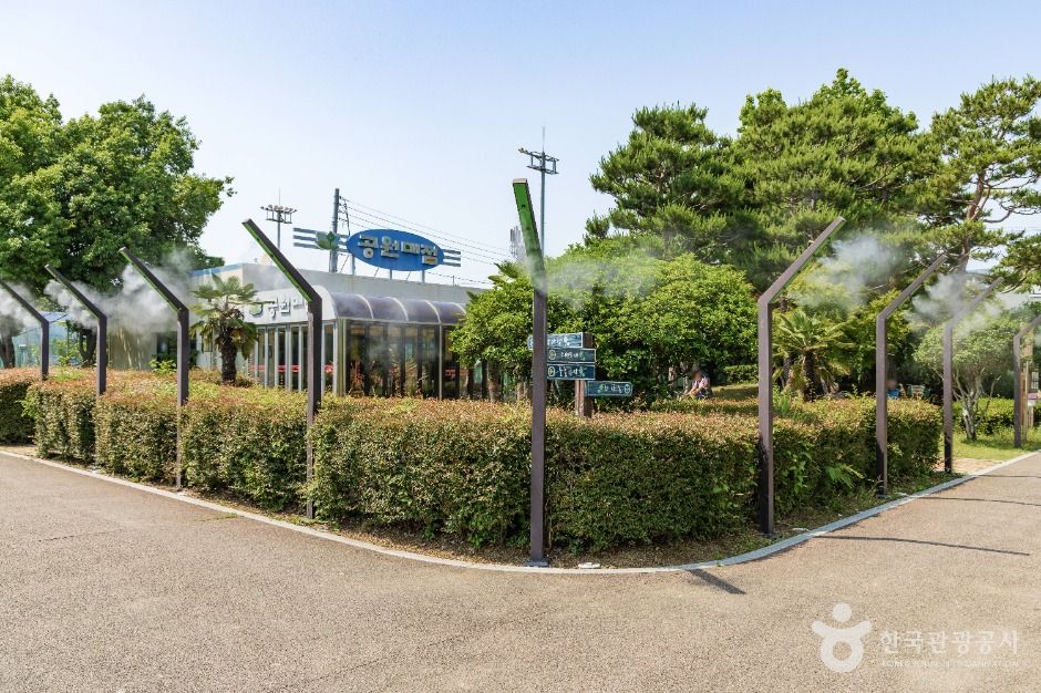 초전공원
