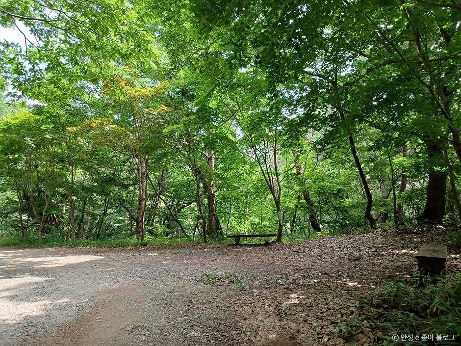서운산