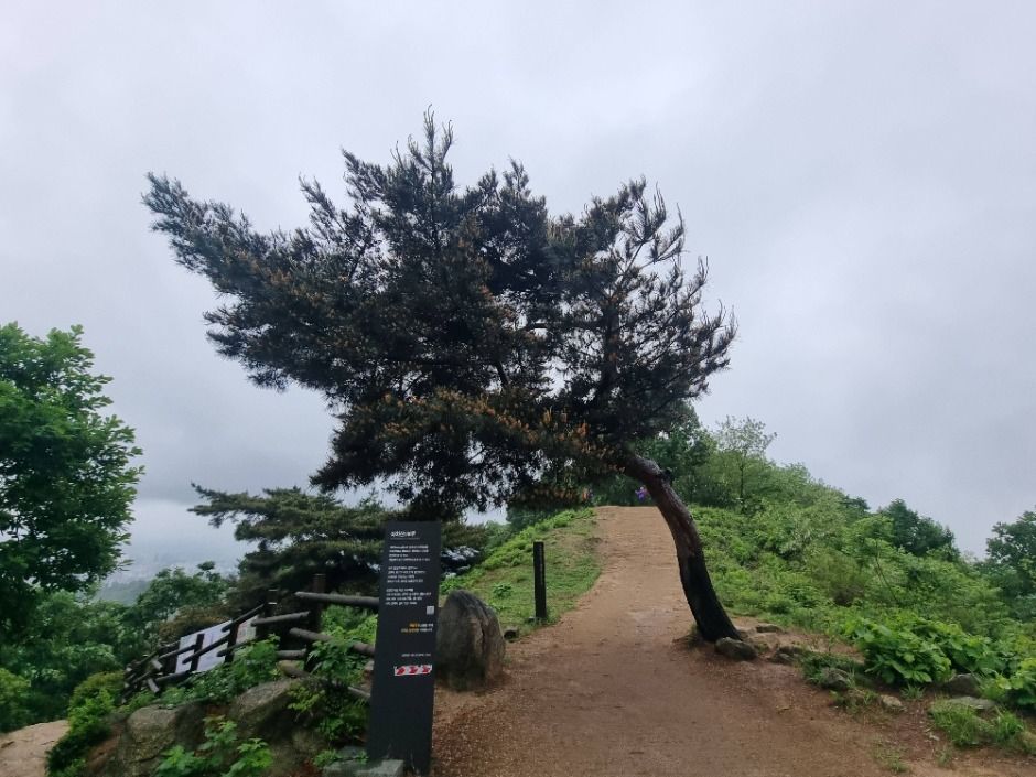 [서울둘레길 5코스] 아차산코스