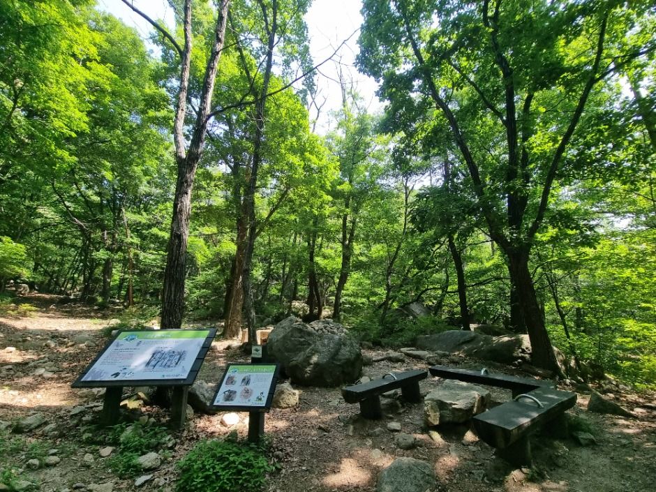 [서울둘레길 19코스] 북한산 성북코스