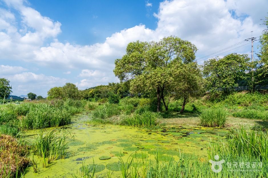 탄천민물고기습지생태원
