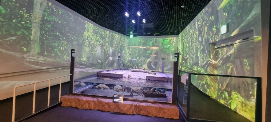 단양 다누리아쿠아리움