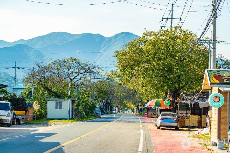 하동명품배거리