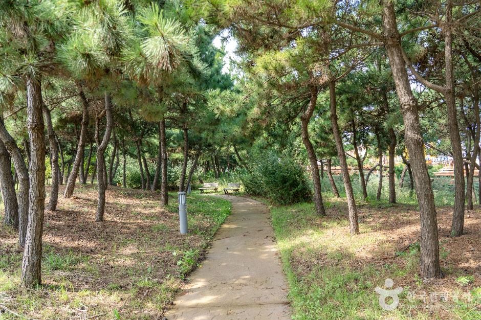 thumbnail-새만금 비응공원-7