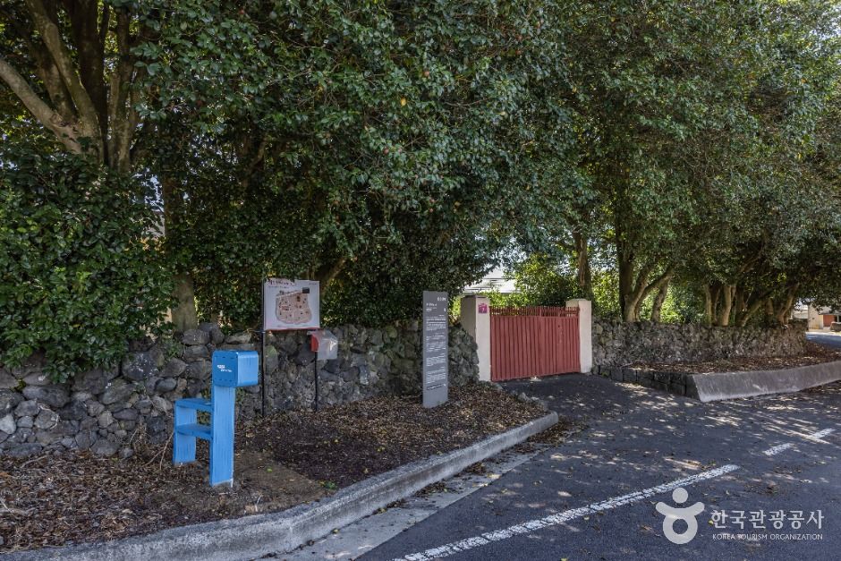 위미동백나무군락