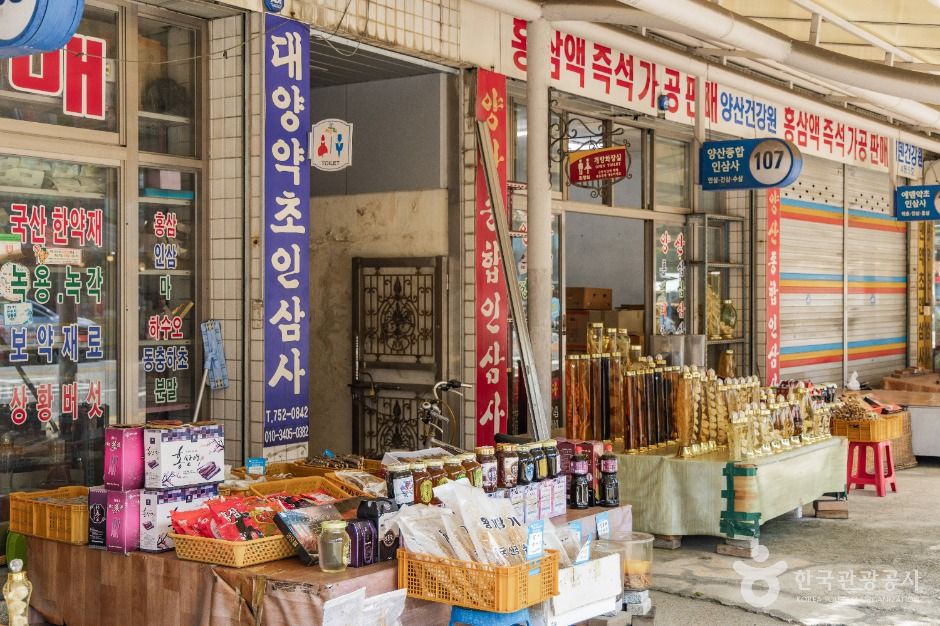 금산_금산국제인삼시장 (3)