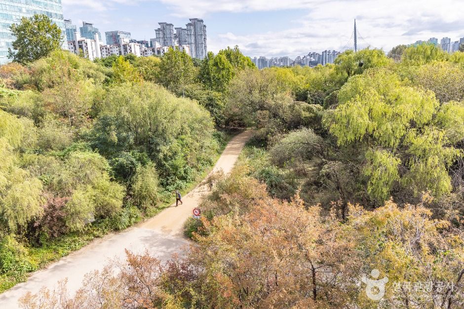 thumbnail-여의도샛강생태공원-2