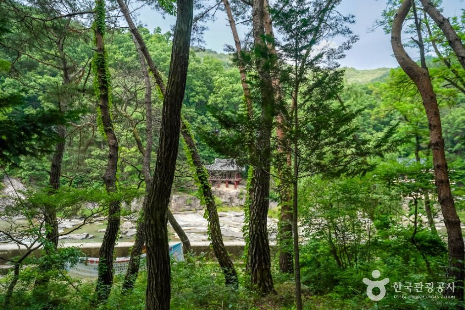 thumbnail-거창 건계정-2