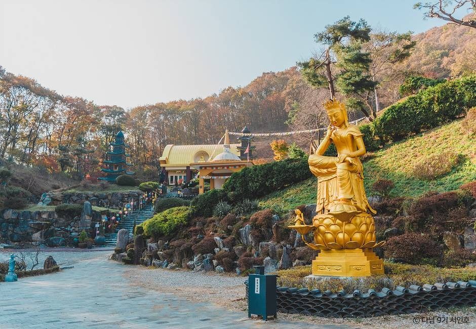 와우정사(용인)