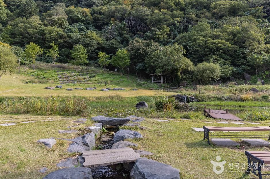 울릉천국 아트센터(울릉천국)