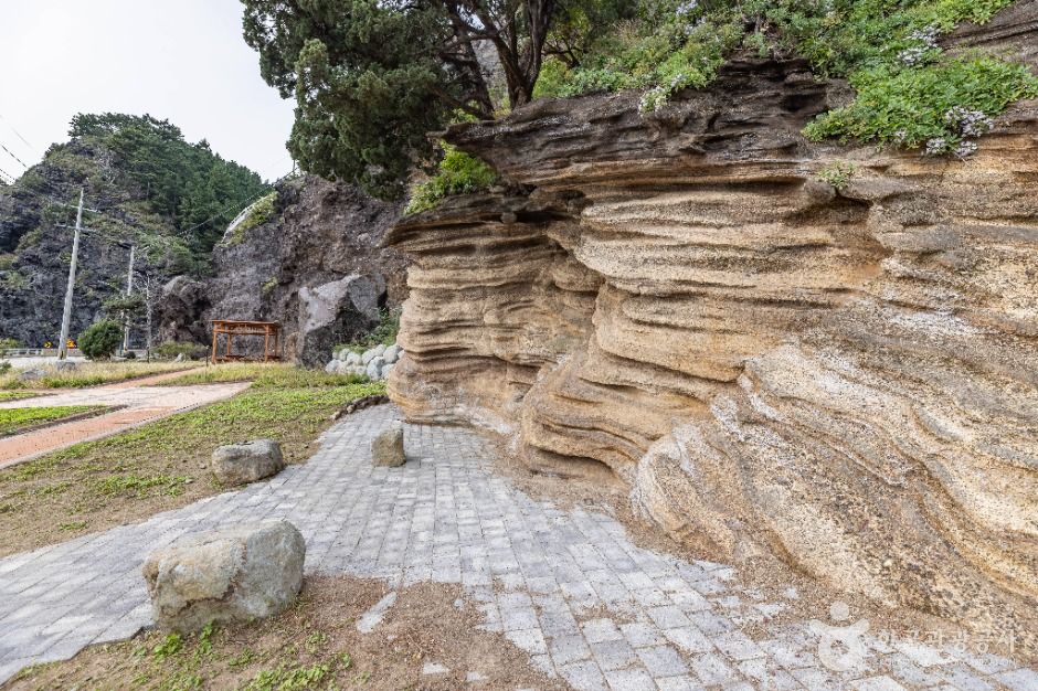 버섯바위 (울릉도, 독도 국가지질공원)