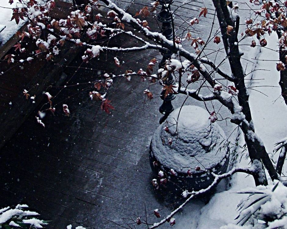 나무향기 한증막