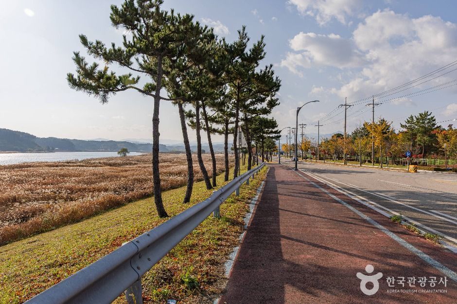 양양_연어 자전거길 (4)