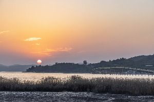 고흥_우도(고흥) (4)