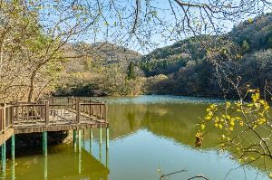 화순_세량지 (4)