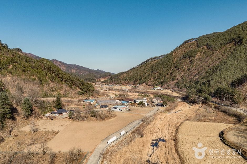 thumbnail-삼척 가시오가피마을-6