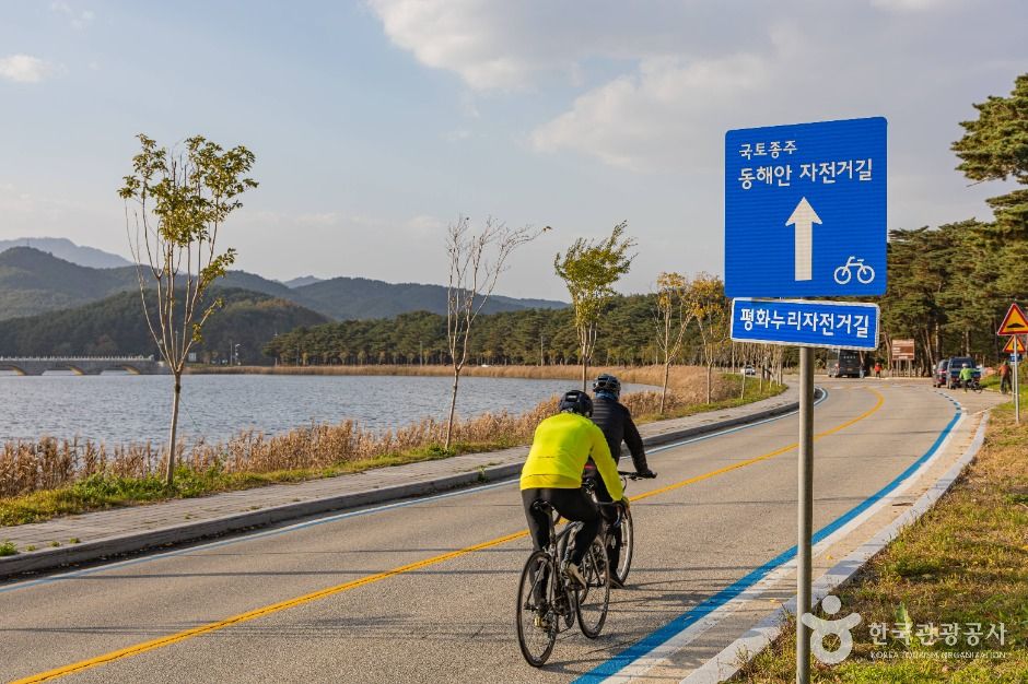고성_[화진포 둘레길] 제3 코스 (5)