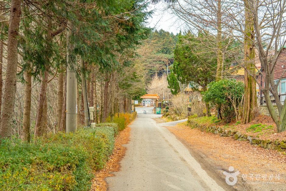 무등산편백자연휴양림