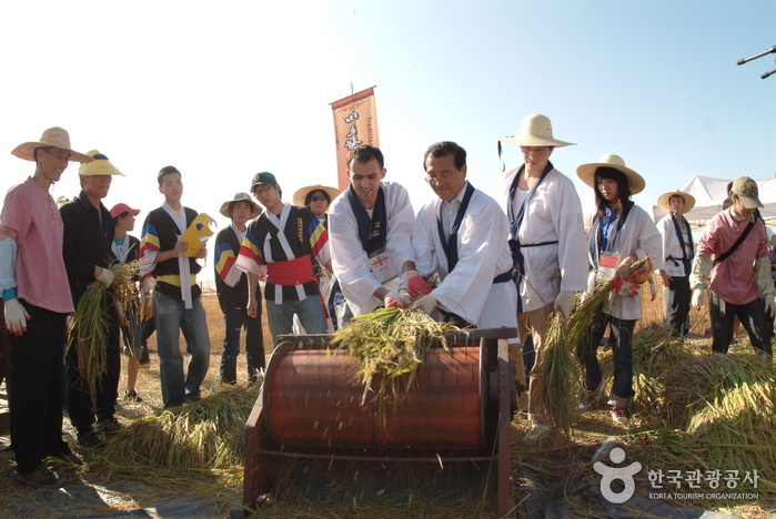 Gimje Horizon Festival (김제 지평선축제)