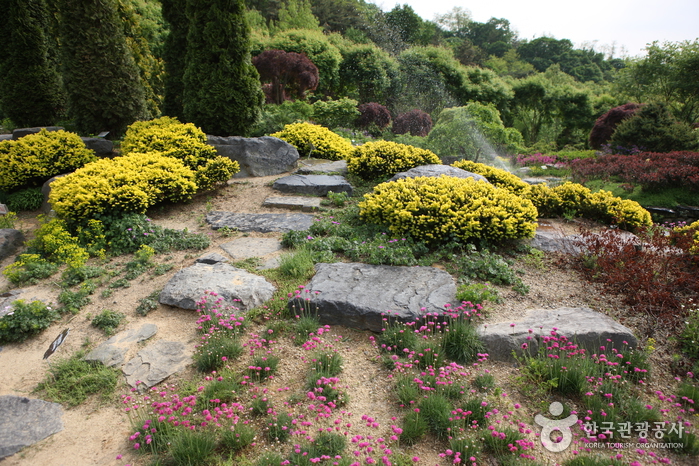Hantaek Botanical Garden (한택식물원)