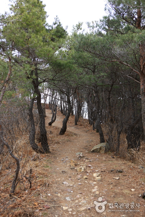 Taekwondowon Observatory (태권도공원 전망대)