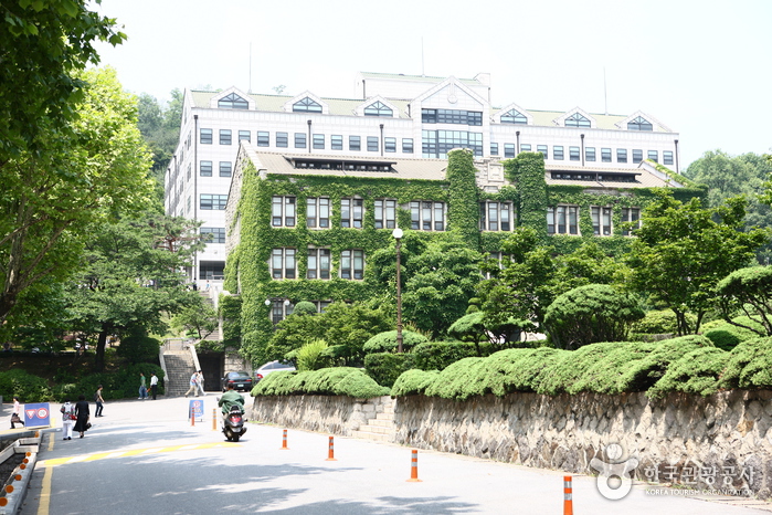 Université Yonsei (연세대학교)
