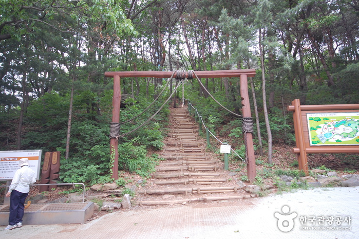 ソウル大公園森林浴場（서울대공원 산림욕장）