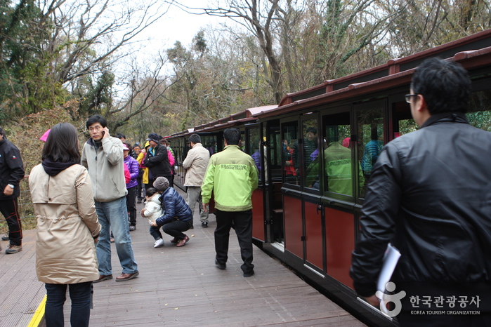 Eco Land Theme Park (에코랜드테마파크)
