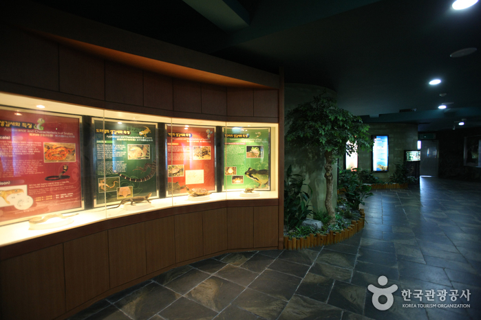 釜山海洋自然史博物館（부산해양자연사박물관）