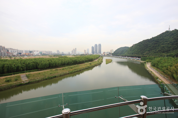 태화강 전망대6