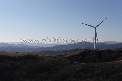 대관령 옛길 ② 바람 모이는 백두대간, 바다를 등지다