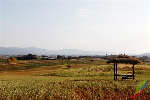 Borinara Hagwon Farm (보리나라 학원농장)