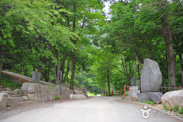 사계절 내내 매력 넘치는 태백산과 태백고원