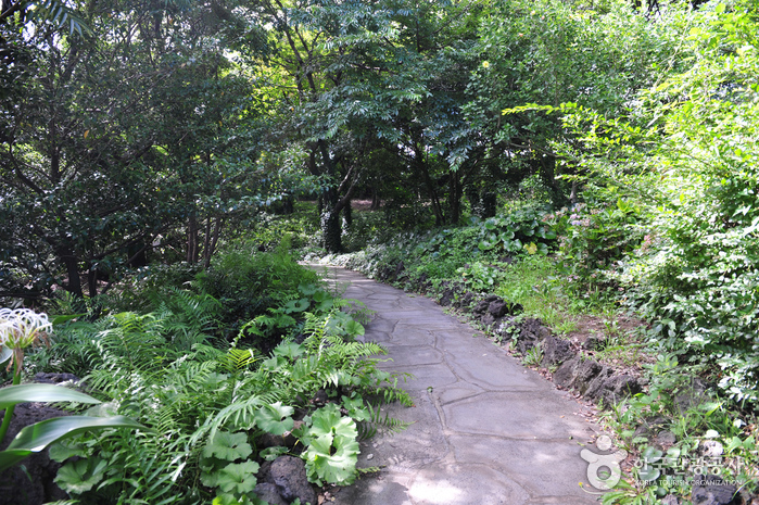 Yeomiji Botanical Garden (여미지 식물원)