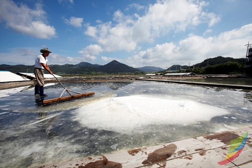 Gomso Salt Field (곰소염전)