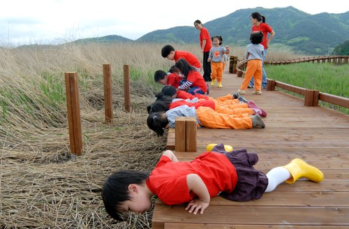 顺天湾芦苇节 br () :韩国旅游官方网站