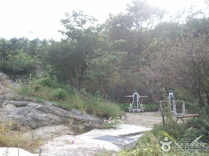 thumbnail-Seoul Eungbongsan Mountain (응봉산(서울))-1