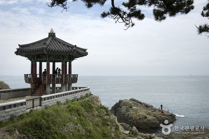 송정 죽도공원1