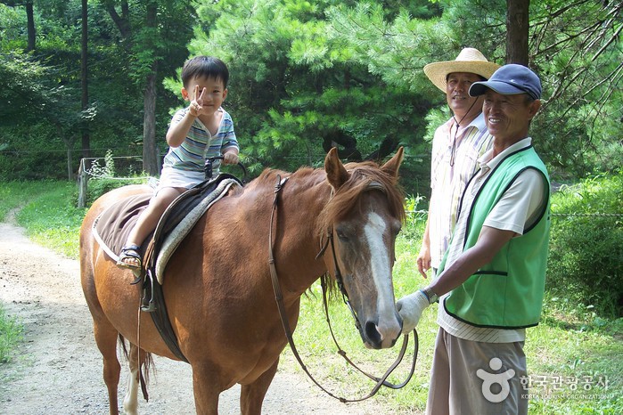 한터 조랑말농장