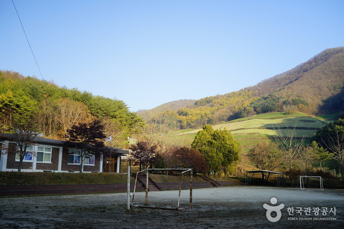 아리랑학교 추억의 박물관 사진8
