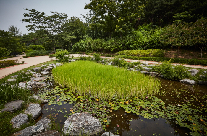 thumbnail-Namsan Outdoor Botanical Garden (남산 야외식물원)-19