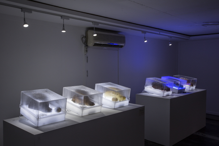 아티언스 대전 20185