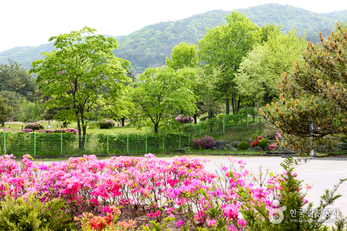 미동산수목원