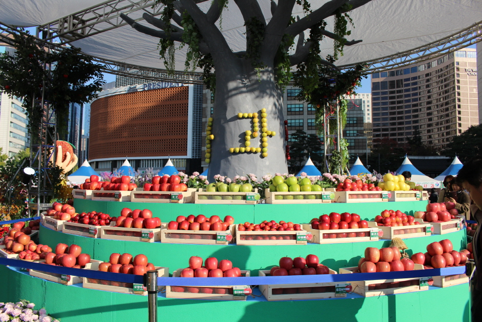 경북사과홍보행사1